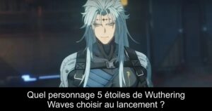 Quel personnage 5 étoiles de Wuthering Waves choisir au lancement ?