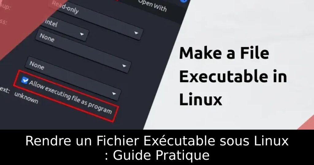 Rendre un Fichier Exécutable sous Linux : Guide Pratique