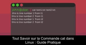 Tout Savoir sur la Commande cat dans Linux : Guide Pratique