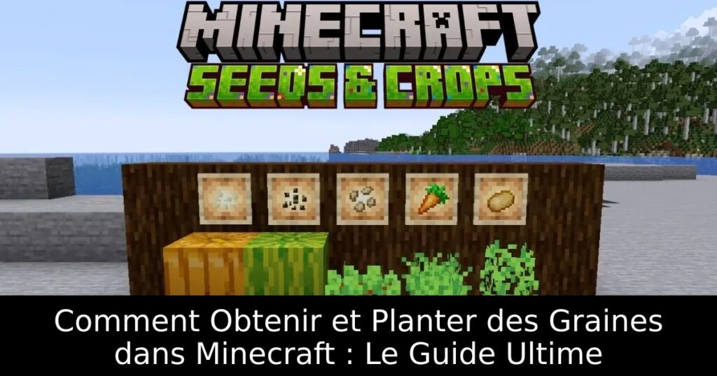 Comment Obtenir et Planter des Graines dans Minecraft : Le Guide Ultime