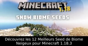 Découvrez les 12 Meilleurs Seed de Biome Neigeux pour Minecraft 1.18.3