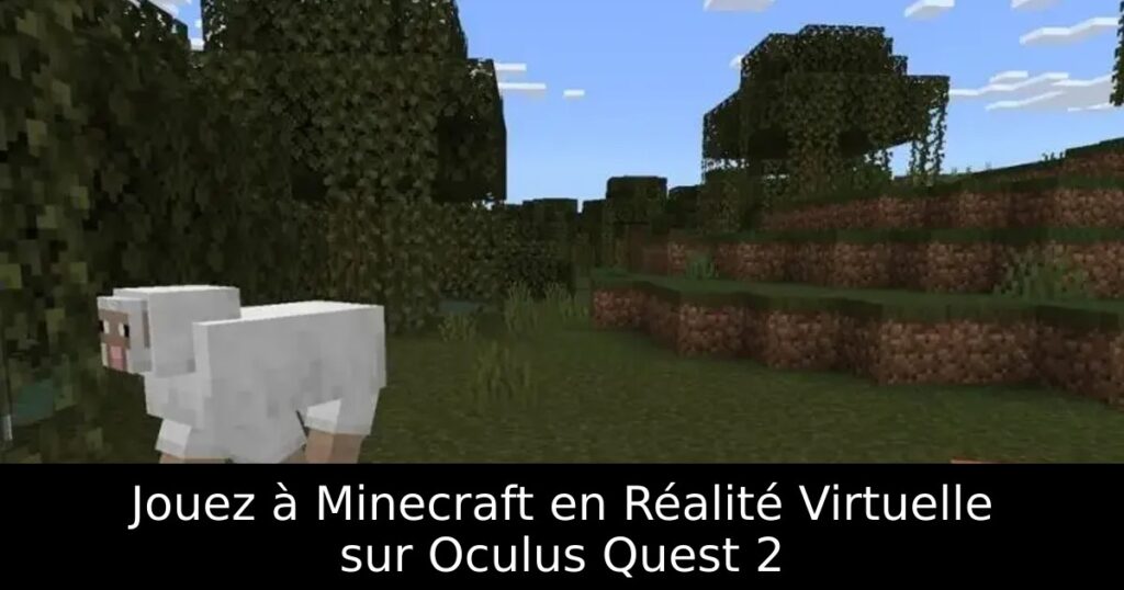 Jouez à Minecraft en Réalité Virtuelle sur Oculus Quest 2