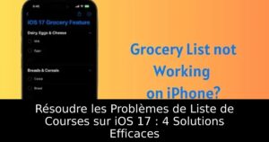 Résoudre les Problèmes de Liste de Courses sur iOS 17 : 4 Solutions Efficaces