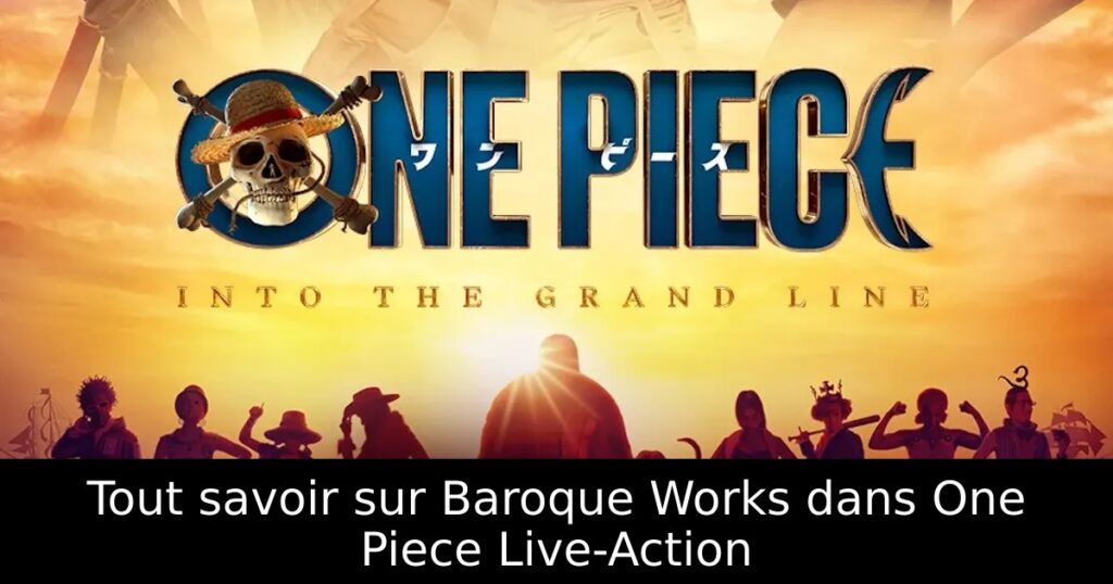 Tout savoir sur Baroque Works dans One Piece Live-Action