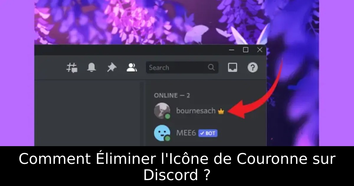 Comment Éliminer l&rsquo;Icône de Couronne sur Discord ?