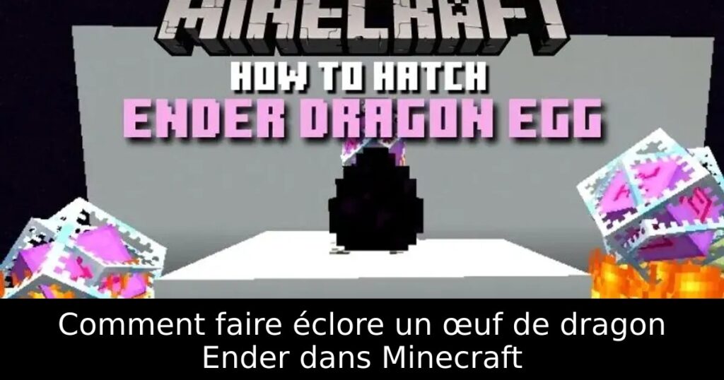 Comment faire éclore un œuf de dragon Ender dans Minecraft