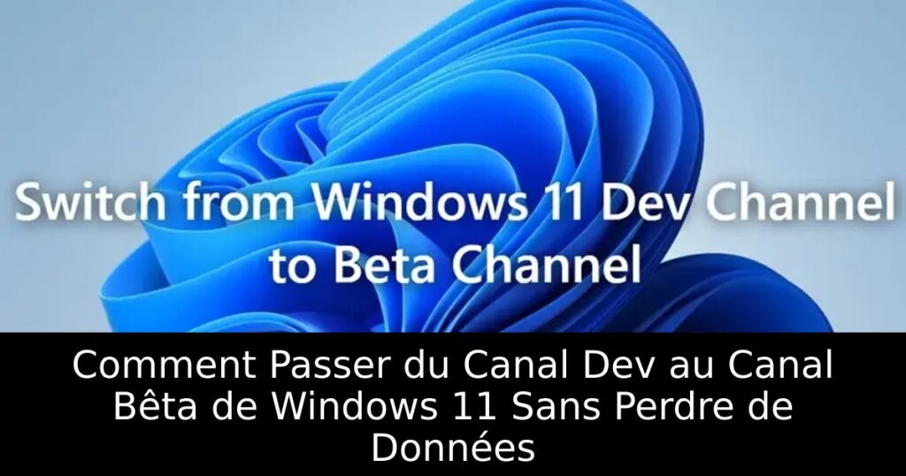 Comment Passer du Canal Dev au Canal Bêta de Windows 11 Sans Perdre de Données