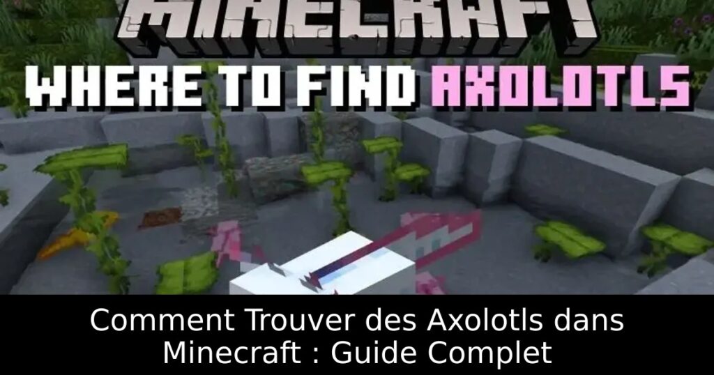 Comment Trouver des Axolotls dans Minecraft : Guide Complet