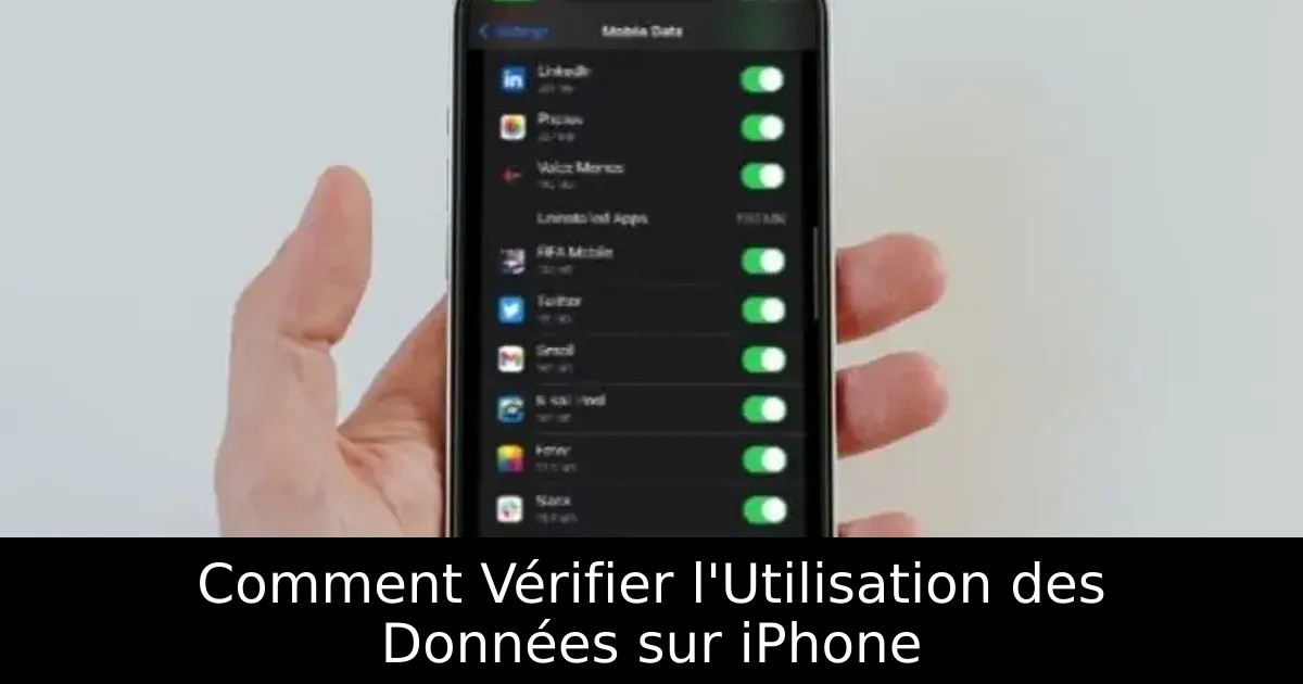 Comment Vérifier l&rsquo;Utilisation des Données sur iPhone