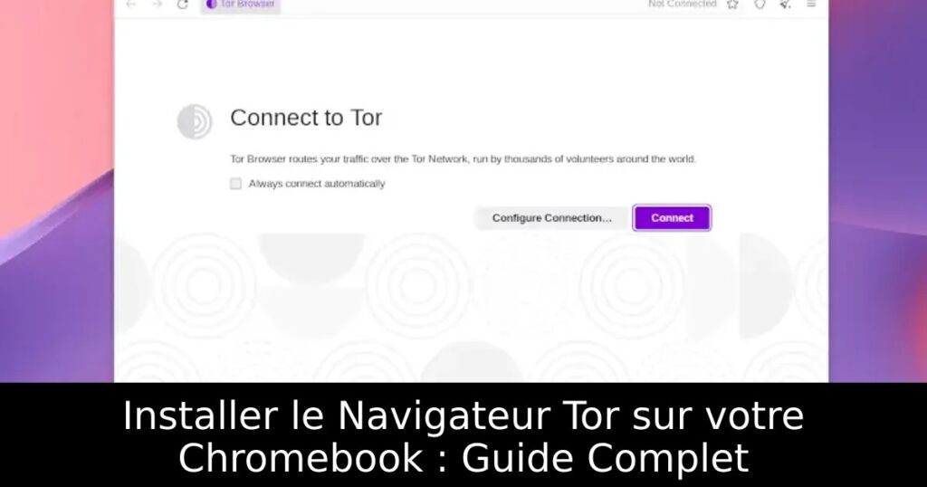 Installer le Navigateur Tor sur votre Chromebook : Guide Complet