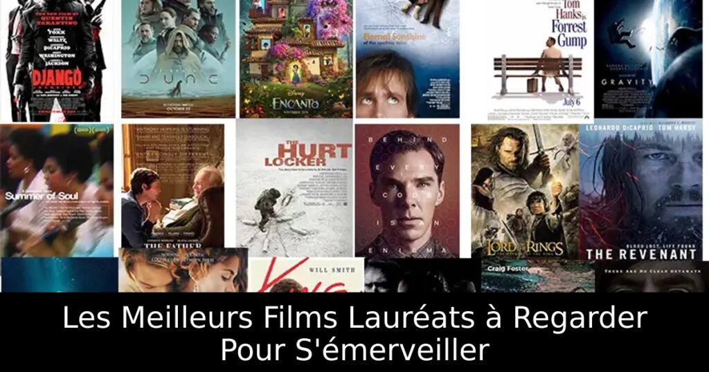 Les Meilleurs Films Lauréats à Regarder Pour S&rsquo;émerveiller