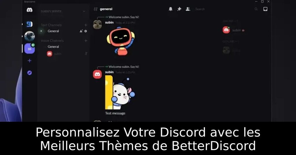Personnalisez Votre Discord avec les Meilleurs Thèmes de BetterDiscord