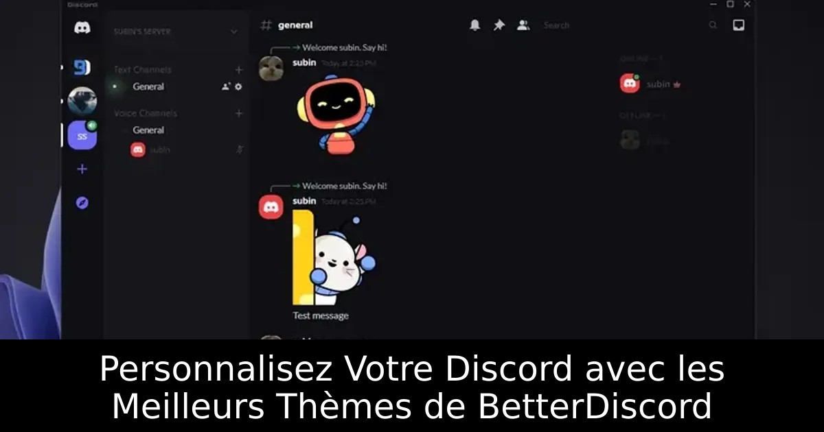 Personnalisez Votre Discord avec les Meilleurs Thèmes de BetterDiscord