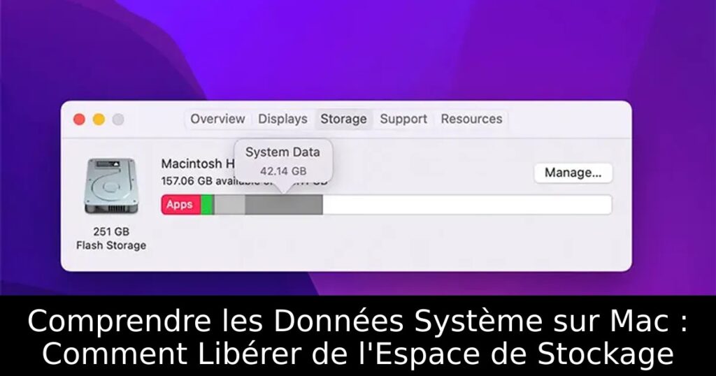 Comprendre les Données Système sur Mac : Comment Libérer de l&rsquo;Espace de Stockage