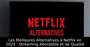 Les Meilleures Alternatives à Netflix en 2024 : Streaming Abordable et de Qualité