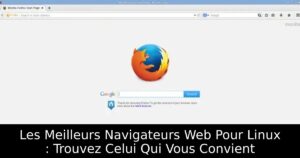 Les Meilleurs Navigateurs Web Pour Linux : Trouvez Celui Qui Vous Convient