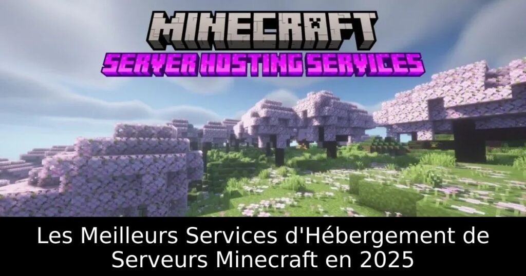 Les Meilleurs Services d&rsquo;Hébergement de Serveurs Minecraft en 2025