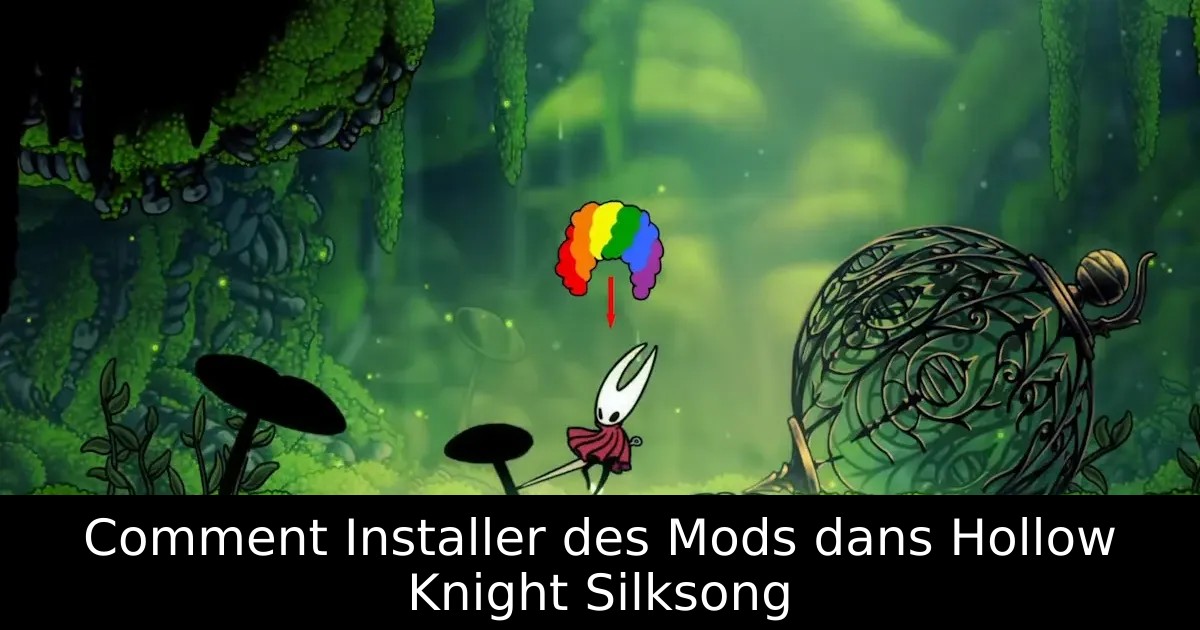Comment Installer des Mods dans Hollow Knight Silksong