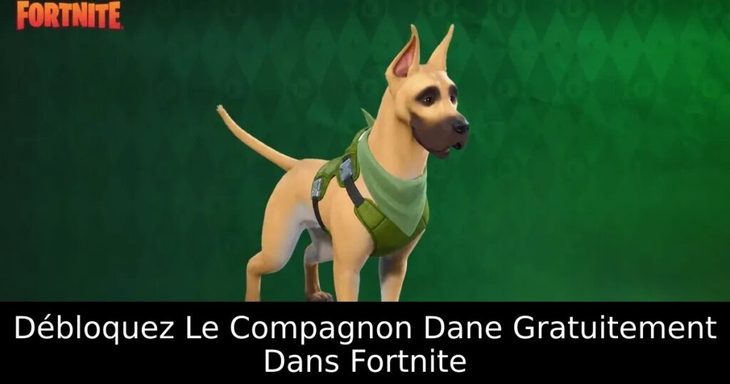 Débloquez Le Compagnon Dane Gratuitement Dans Fortnite