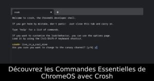 Découvrez les Commandes Essentielles de ChromeOS avec Crosh