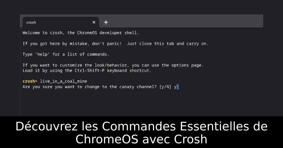 Découvrez les Commandes Essentielles de ChromeOS avec Crosh