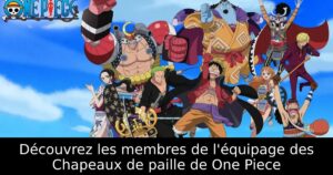 Découvrez les membres de l&rsquo;équipage des Chapeaux de paille de One Piece
