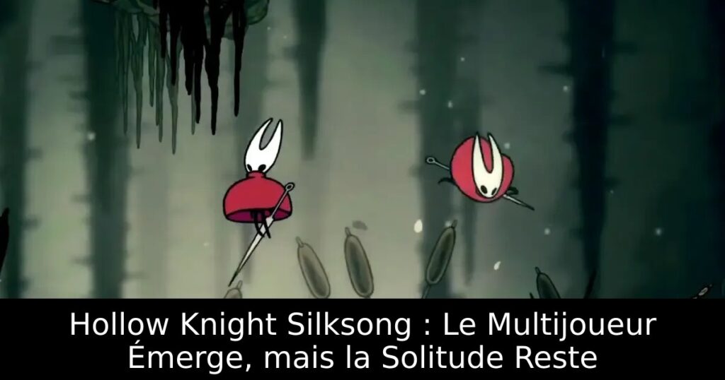 Hollow Knight Silksong : Le Multijoueur Émerge, mais la Solitude Reste