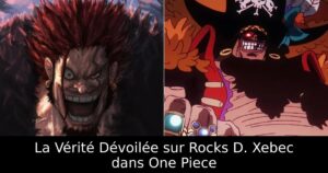La Vérité Dévoilée sur Rocks D. Xebec dans One Piece