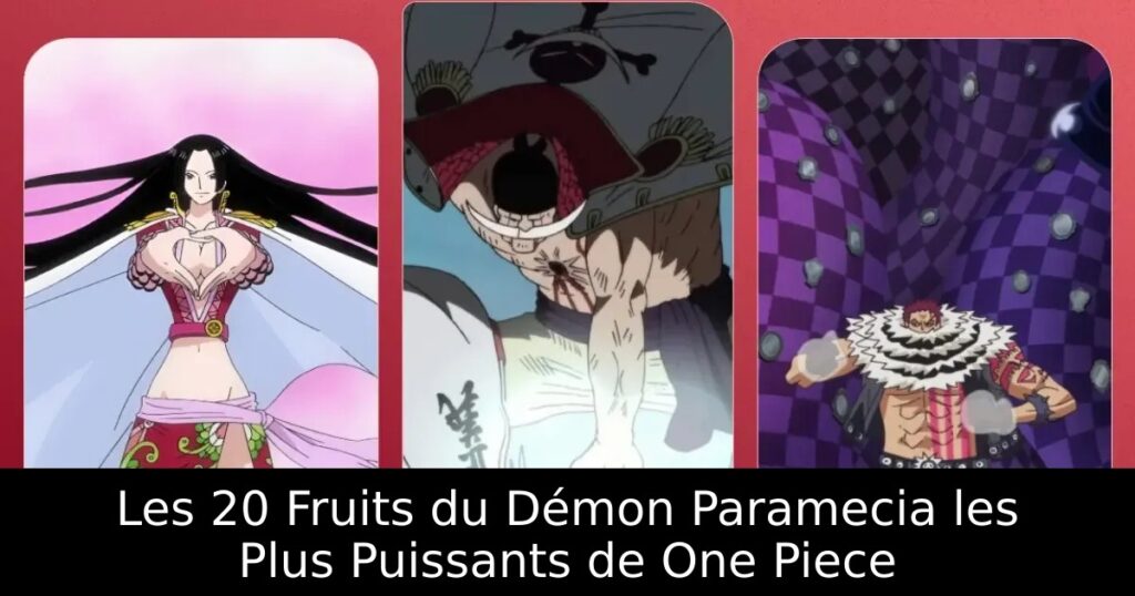 Les 20 Fruits du Démon Paramecia les Plus Puissants de One Piece