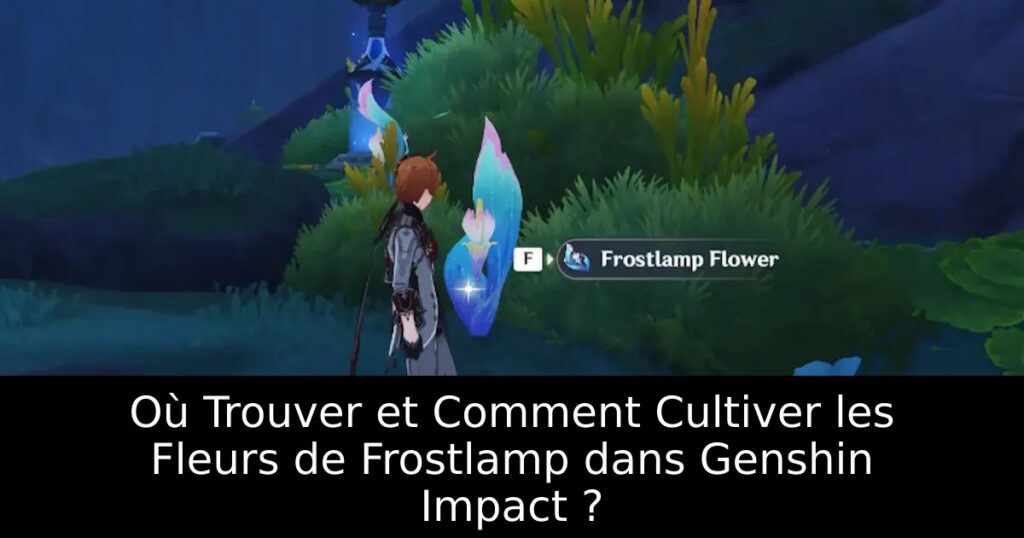 Où Trouver et Comment Cultiver les Fleurs de Frostlamp dans Genshin Impact ?