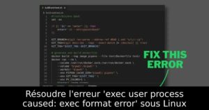 Résoudre l&rsquo;erreur &lsquo;exec user process caused: exec format error&rsquo; sous Linux