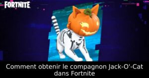 Comment obtenir le compagnon Jack-O&rsquo;-Cat dans Fortnite