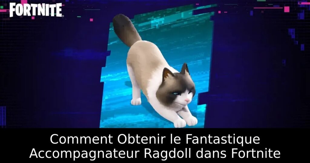 Comment Obtenir le Fantastique Accompagnateur Ragdoll dans Fortnite