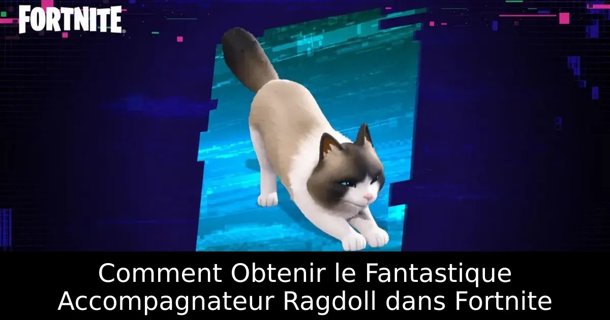 Comment Obtenir le Fantastique Accompagnateur Ragdoll dans Fortnite